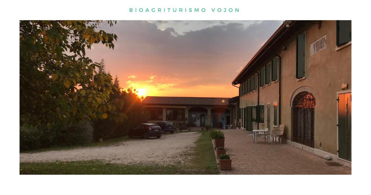 Villa Bio Agriturismo Vojon Ponti sul Mincio Exterior foto